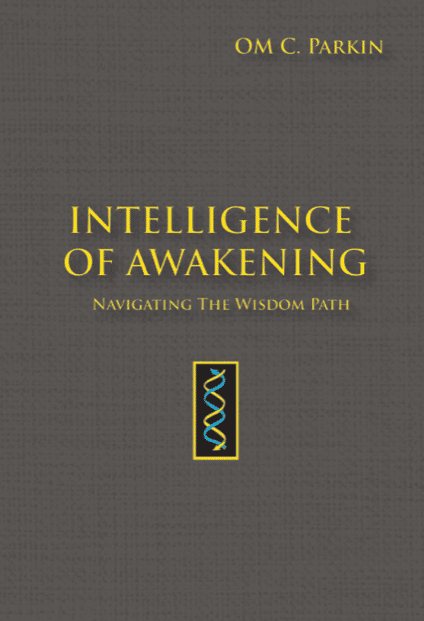 Intelligence of Awakening – Navigating the Wisdom Path