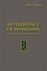 Intelligence of Awakening – Navigating the Wisdom Path